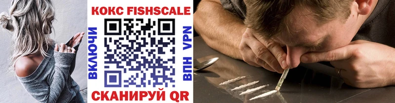 Cocaine Fish Scale  Купить закладки  Камень-на-Оби 