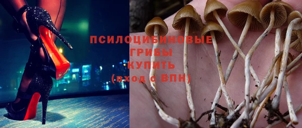 гашишное масло Дмитриев